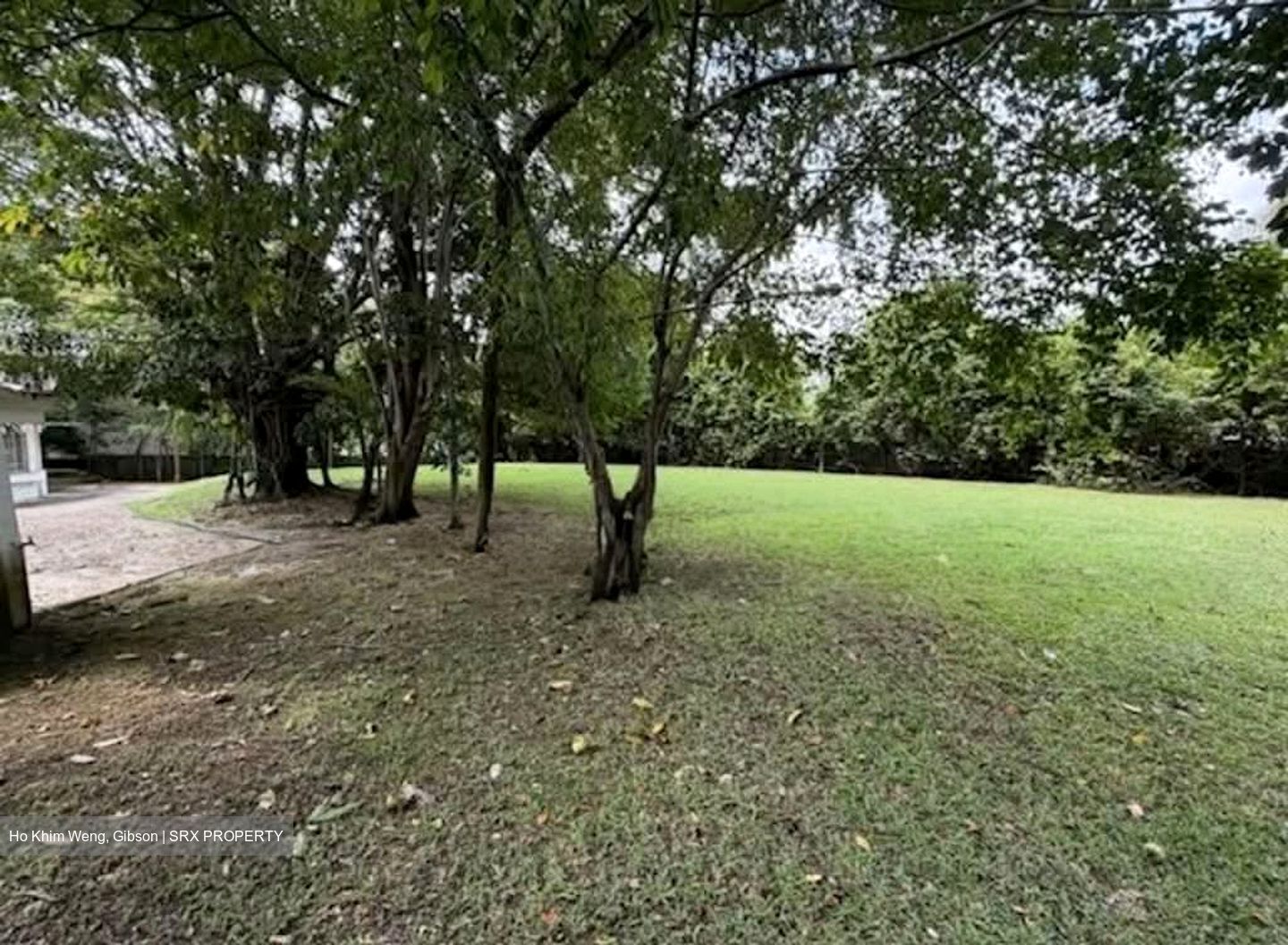 Blackmore Drive (D21), Detached #559664561